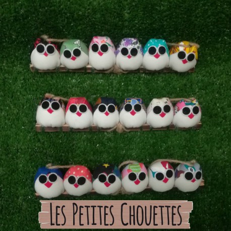 6 petites chouettes Mix