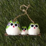 Famille 3 chouettes hibou vert pomme