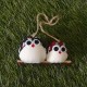 la chouette famille de chat 